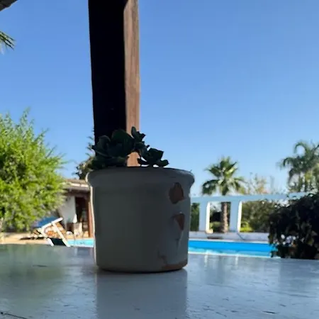 Donna Sibilla Daire *