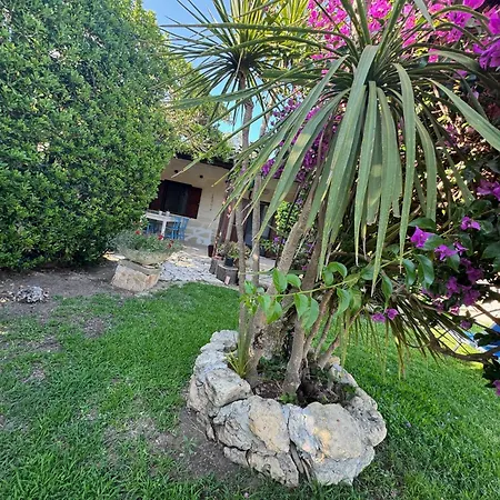 Donna Sibilla * Merine