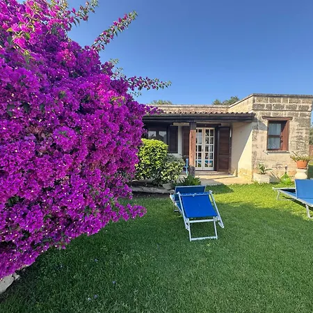 Donna Sibilla * Merine